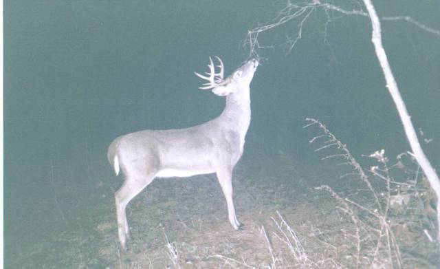 l10 pt.astscan