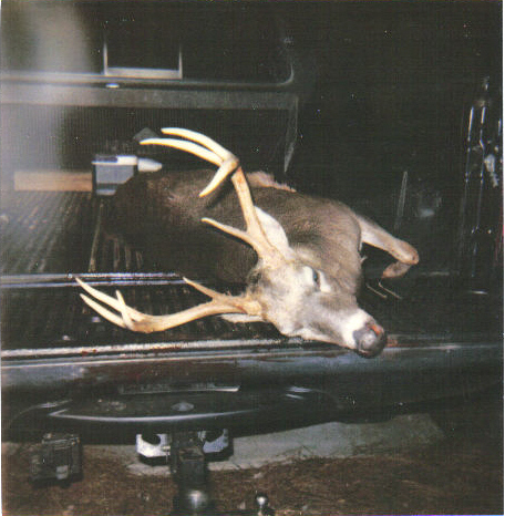 sehc pic 9