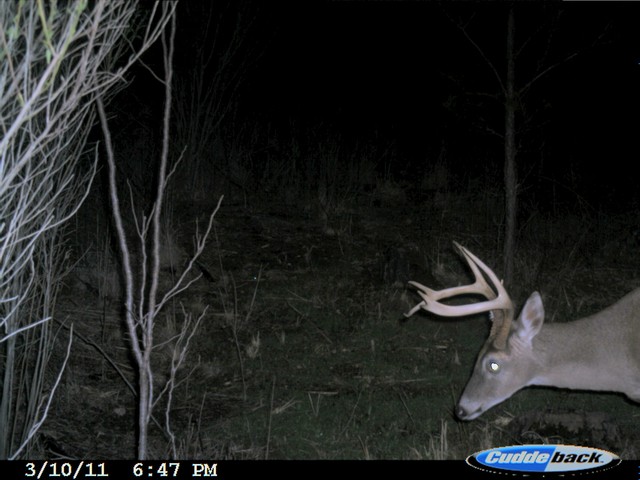 image3