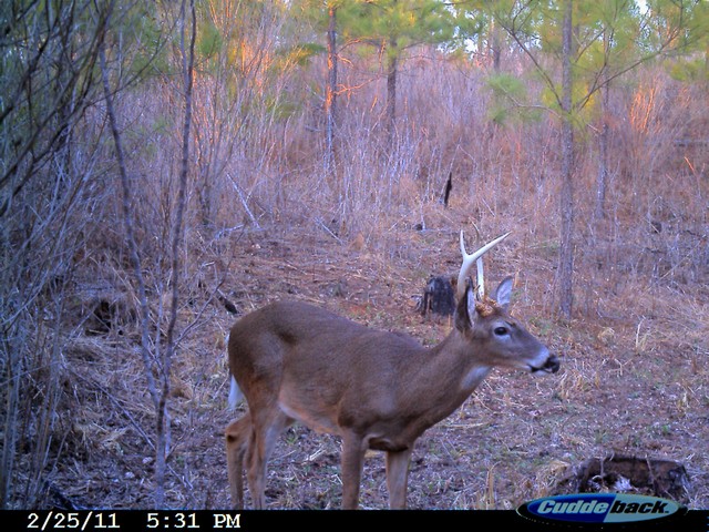 image2