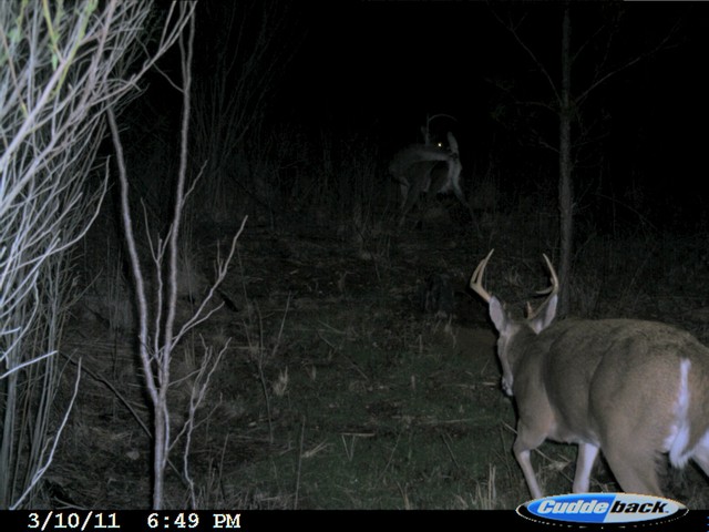 image4