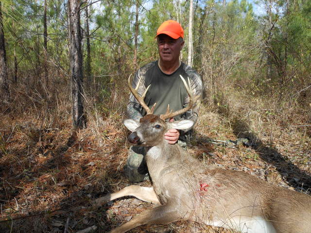 Harold's 9 pt